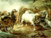 charles emile callande chevaux se battant dans un corral oil painting on canvas